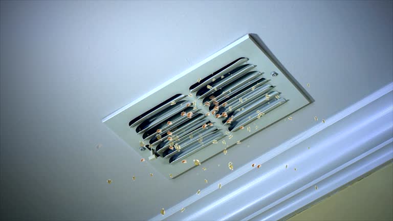 Best Air Duct Cleaning Near Me  in New Carrollton, MD